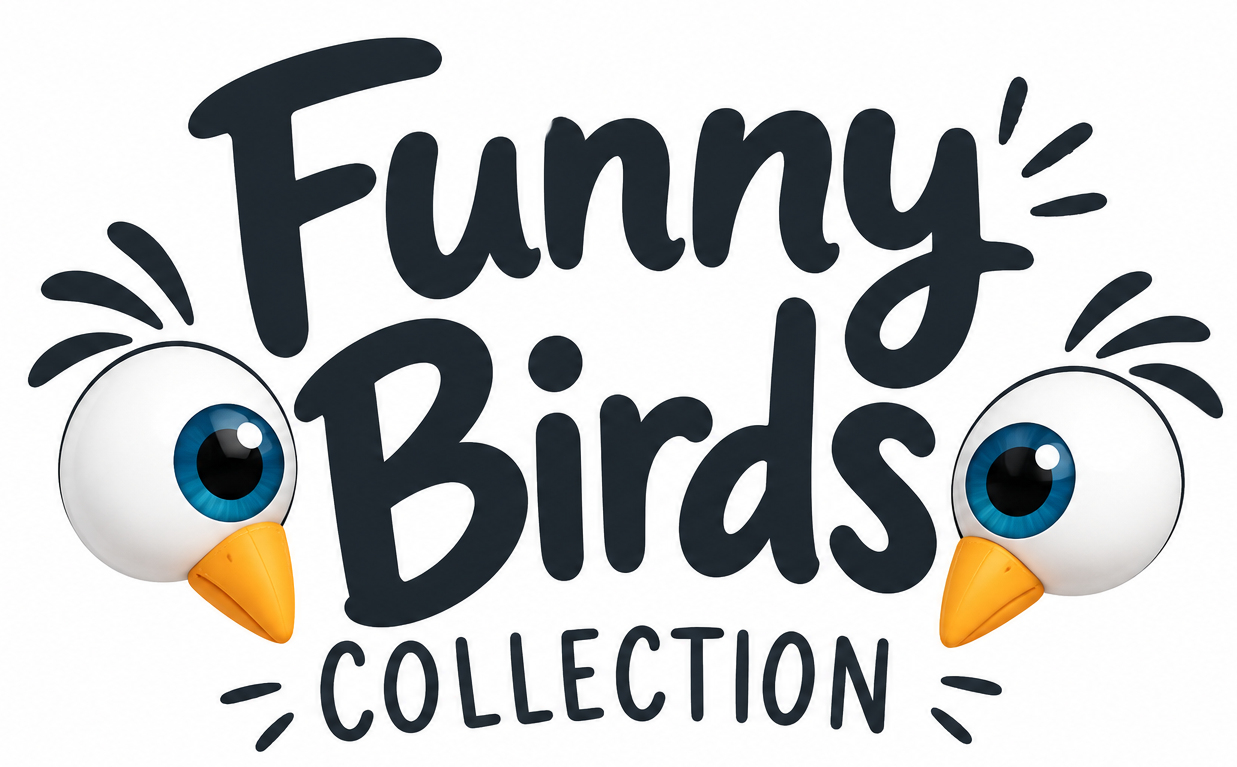 Funny Birds Collection